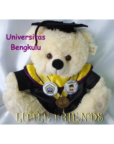Boneka Wisuda Universitas Bengkulu - Pendidikan (30 cm)
